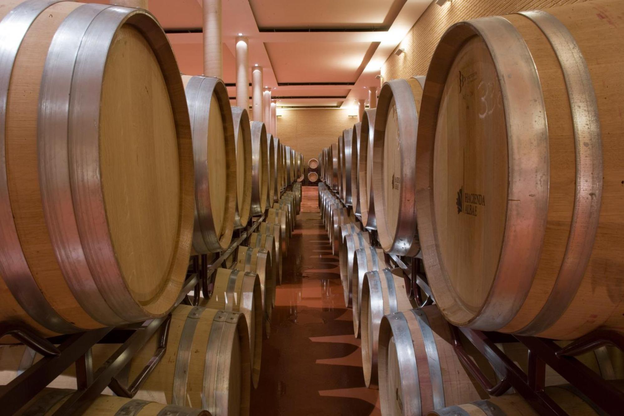 Bodegas Hacienda Albae Guest House Argamasilla de Alba Екстериор снимка